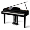 Veldhuis Pianoverhuur en verkoop - KAWAI DG 30 Digitale Vleugel